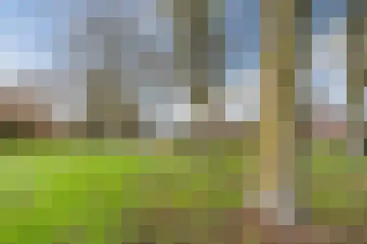 De Haag 89 Gemert thumbnail 34