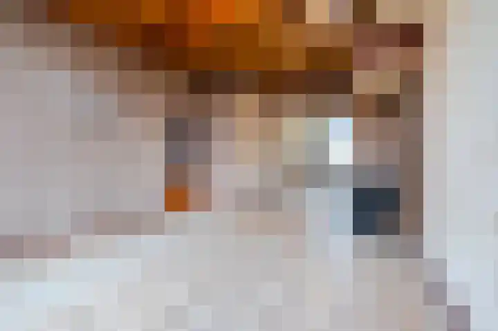 De Haag 89 Gemert thumbnail 7