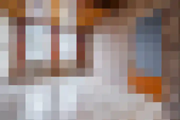 De Haag 89 Gemert thumbnail 8