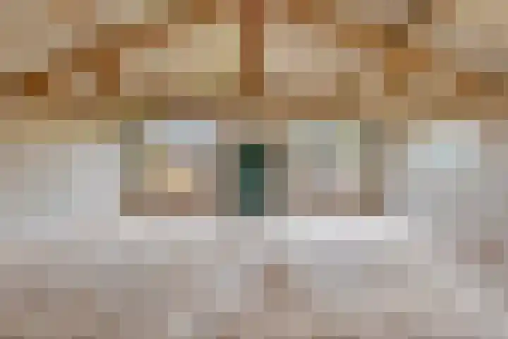 De Haag 9 Veghel thumbnail 21