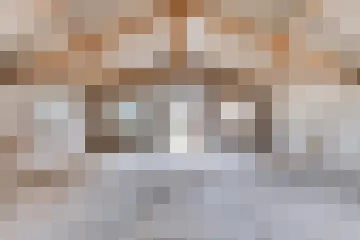 De Haag 9 Veghel thumbnail 22