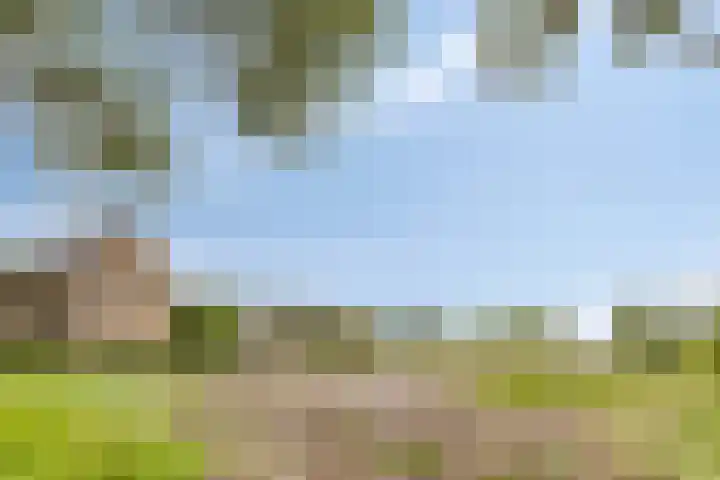De Haag 9 Veghel thumbnail 23