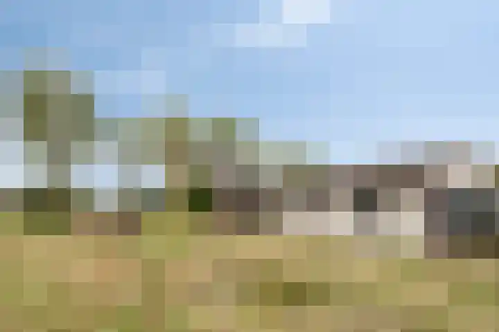 De Haag 9 Veghel thumbnail 24