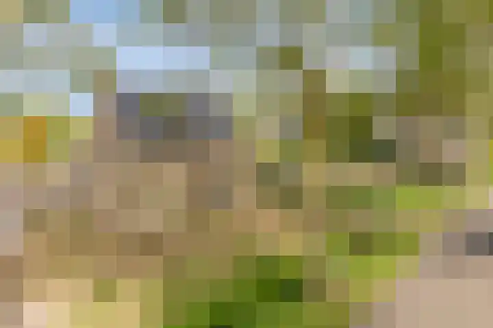 De Haag 9 Veghel thumbnail 26