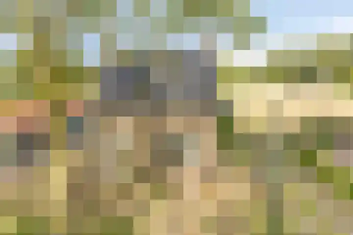 De Haag 9 Veghel thumbnail 27