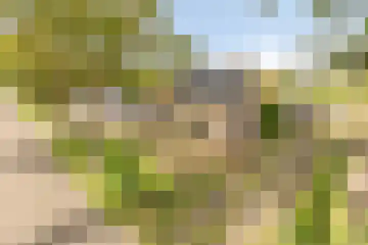 De Haag 9 Veghel thumbnail 28