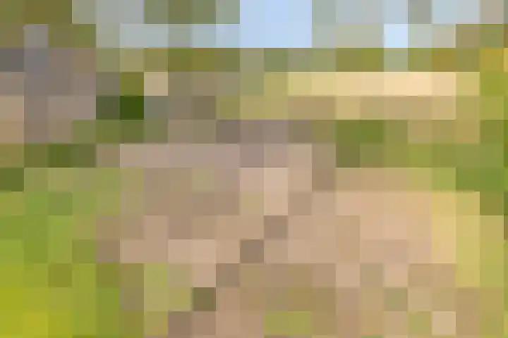 De Haag 9 Veghel thumbnail 29