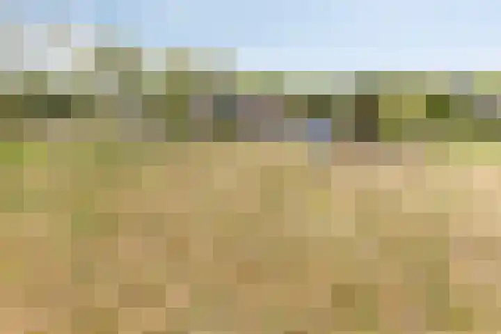 De Haag 9 Veghel thumbnail 30