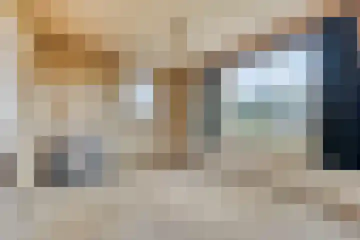 De Haag 9 Veghel thumbnail 5