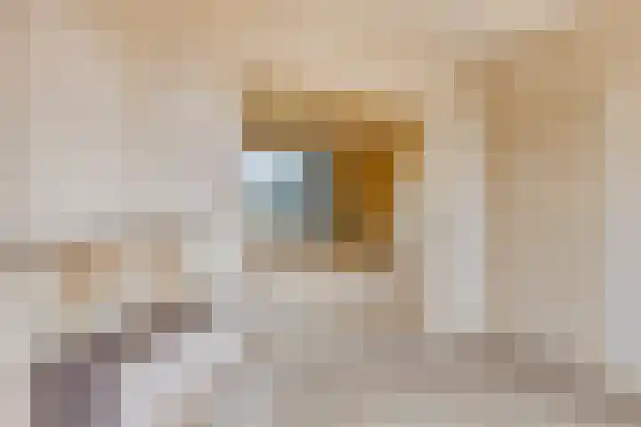 De Haag 9 Veghel thumbnail 8