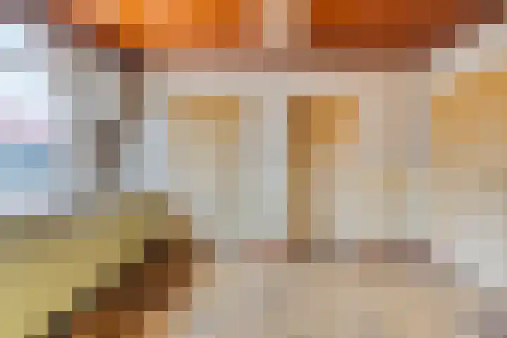De Haag 9 Veghel thumbnail 9