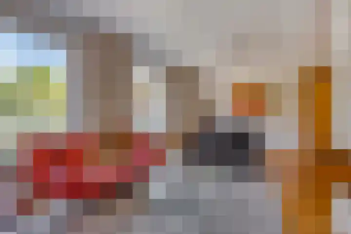 de Haagbeuk 18 Boxmeer thumbnail 10