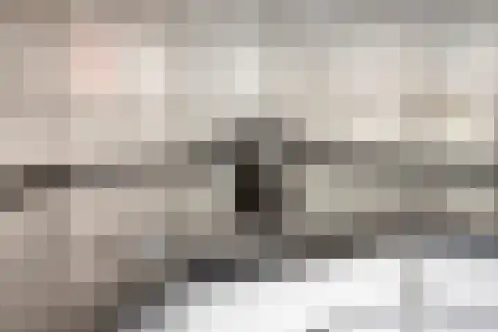 de Haagbeuk 18 Boxmeer thumbnail 17