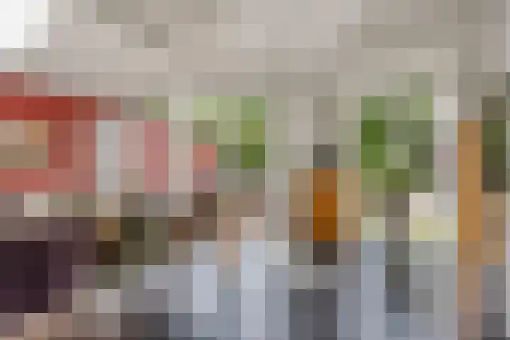 de Haagbeuk 18 Boxmeer thumbnail 18