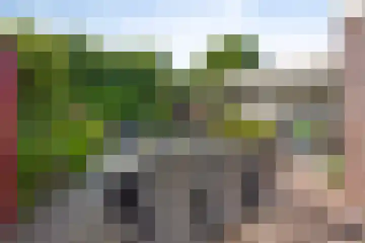 de Haagbeuk 18 Boxmeer thumbnail 20