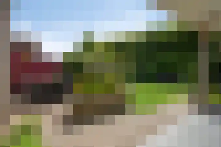 de Haagbeuk 18 Boxmeer thumbnail 21