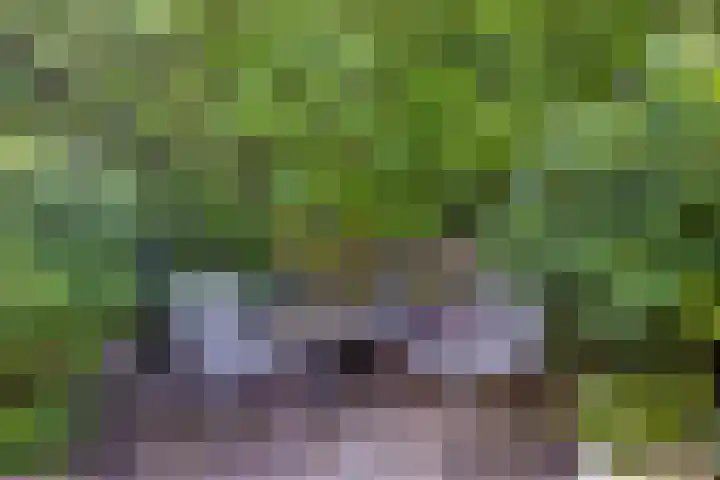 de Haagbeuk 18 Boxmeer thumbnail 23