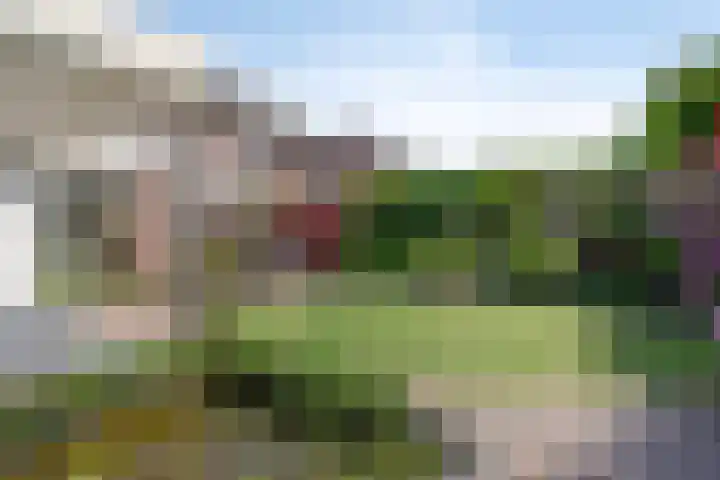 de Haagbeuk 18 Boxmeer thumbnail 24
