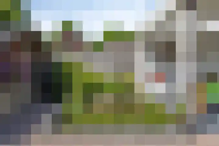 de Haagbeuk 18 Boxmeer thumbnail 25