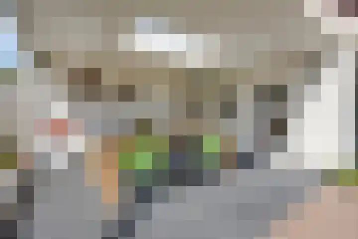 de Haagbeuk 18 Boxmeer thumbnail 26