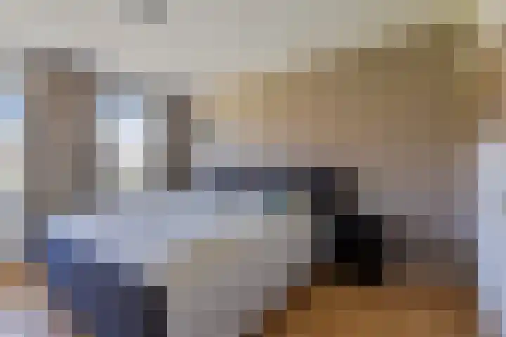 de Haagbeuk 18 Boxmeer thumbnail 30