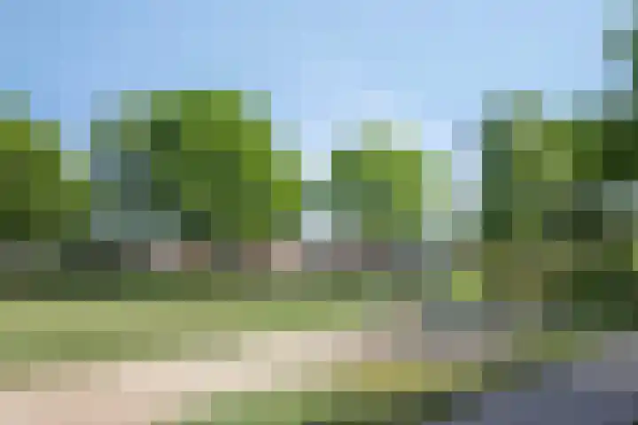 de Haagbeuk 18 Boxmeer thumbnail 42
