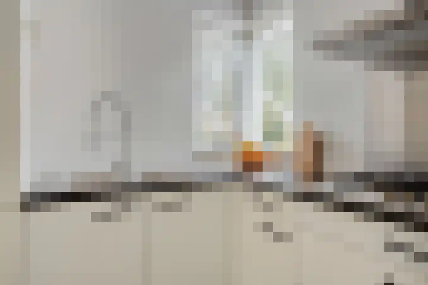 de Haaghe 13 Beuningen Gld thumbnail 13