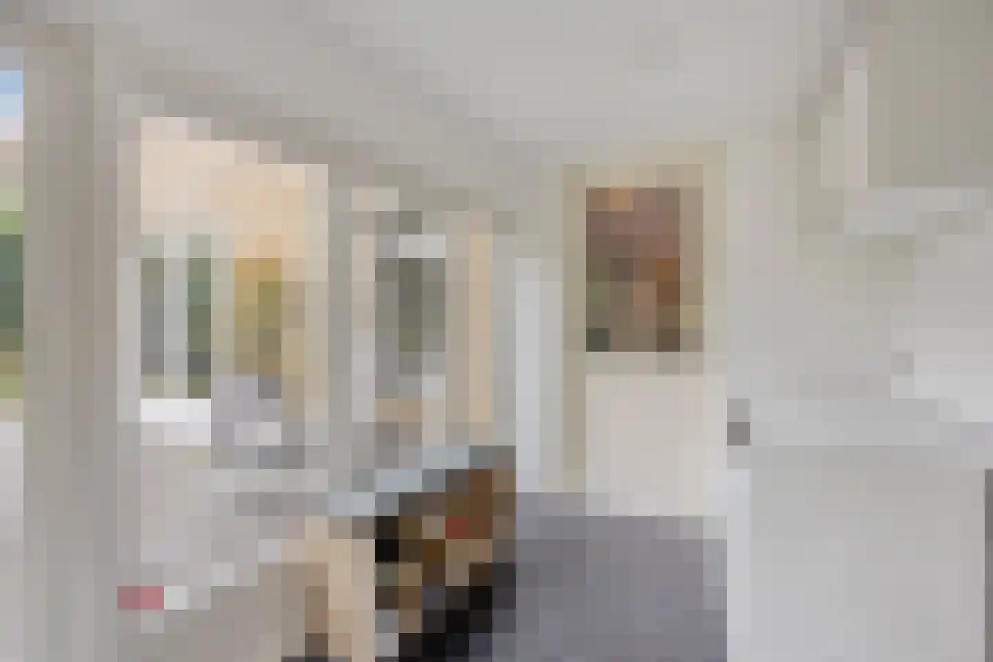 de Haaghe 13 Beuningen Gld thumbnail 19