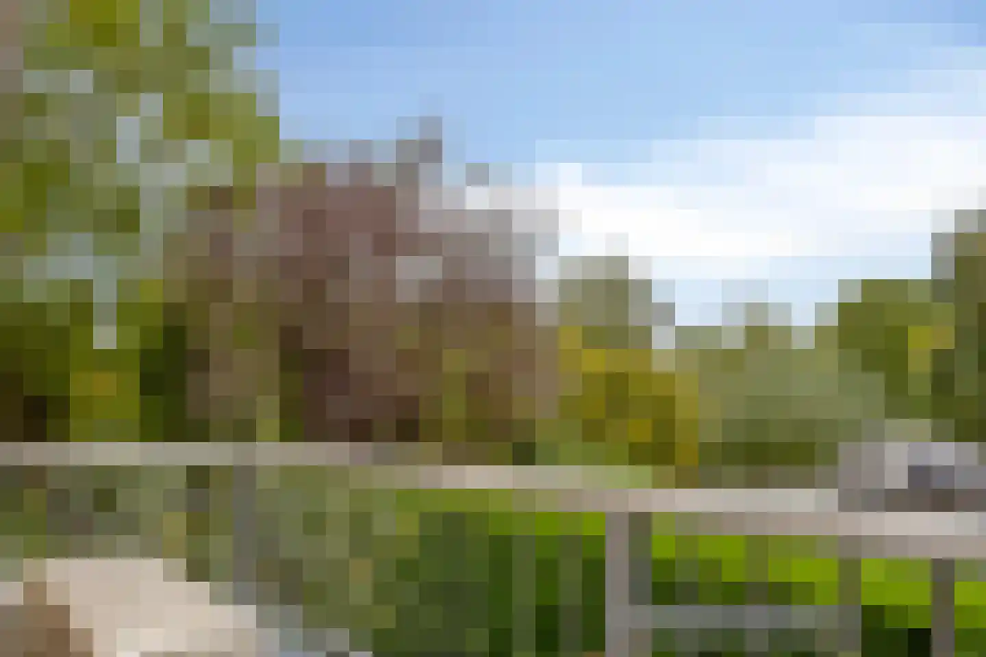 de Haaghe 13 Beuningen Gld thumbnail 26