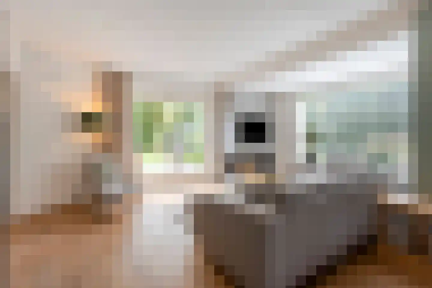 de Haaghe 13 Beuningen Gld thumbnail 4