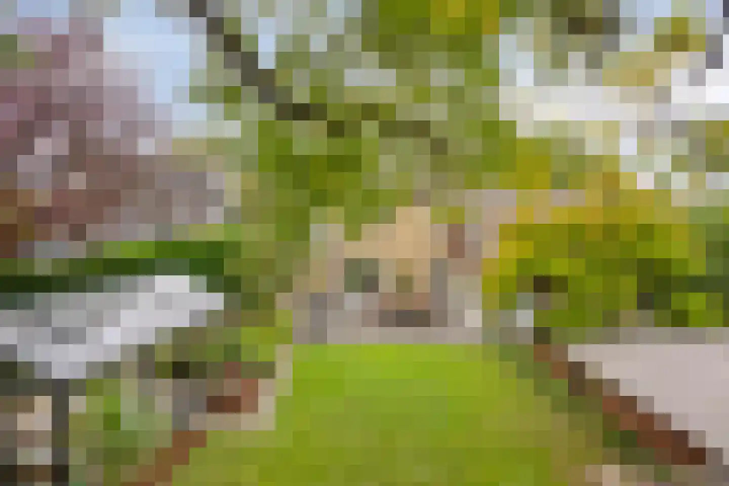 de Haaghe 13 Beuningen Gld thumbnail 40