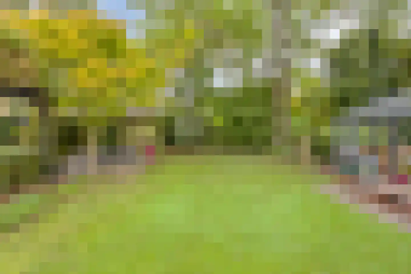 de Haaghe 13 Beuningen Gld thumbnail 41