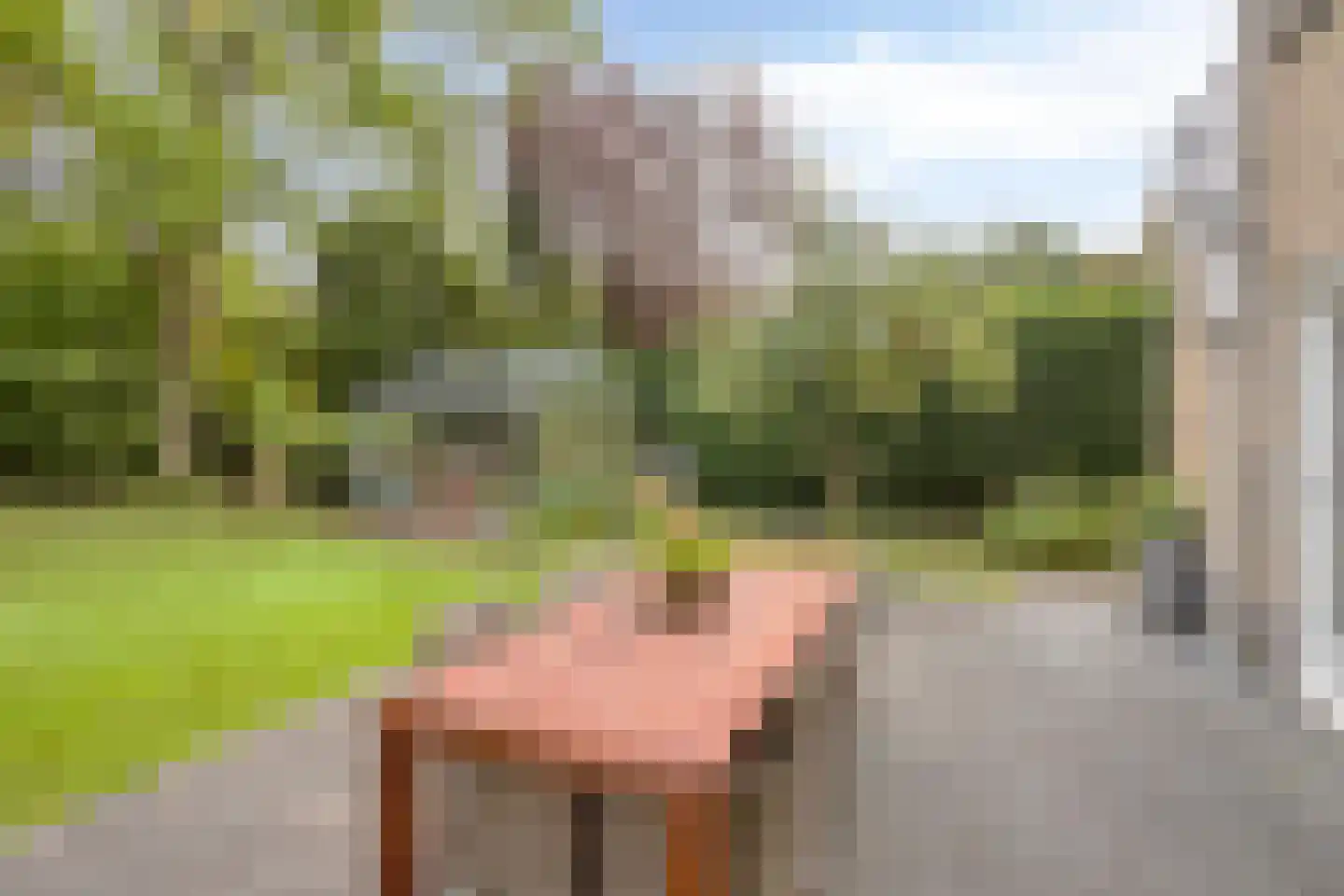 de Haaghe 13 Beuningen Gld thumbnail 42