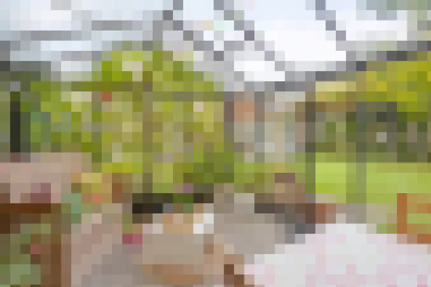 de Haaghe 13 Beuningen Gld thumbnail 45