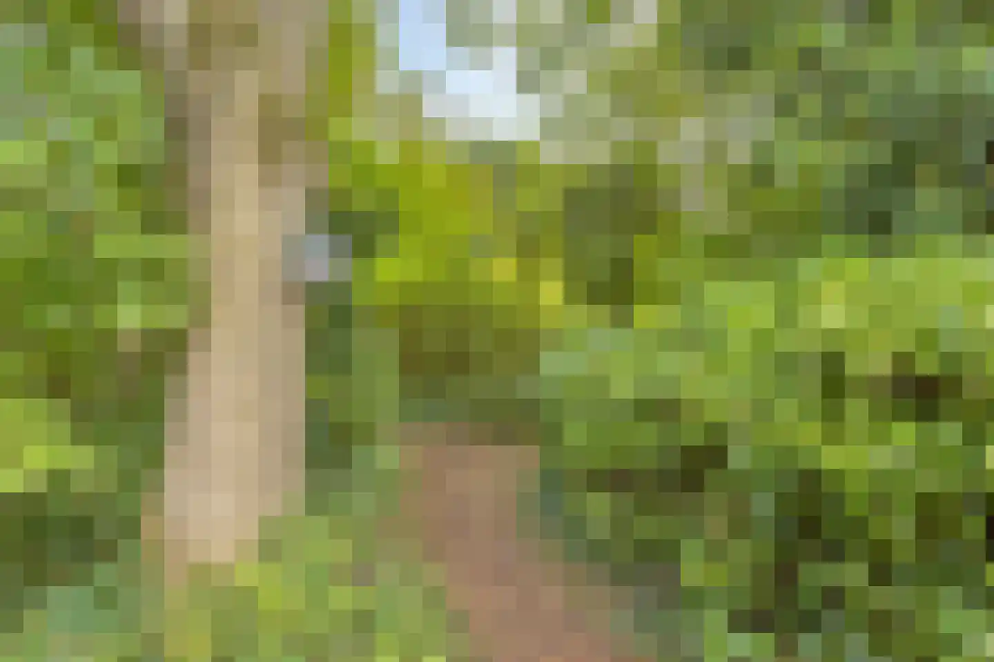 de Haaghe 13 Beuningen Gld thumbnail 47