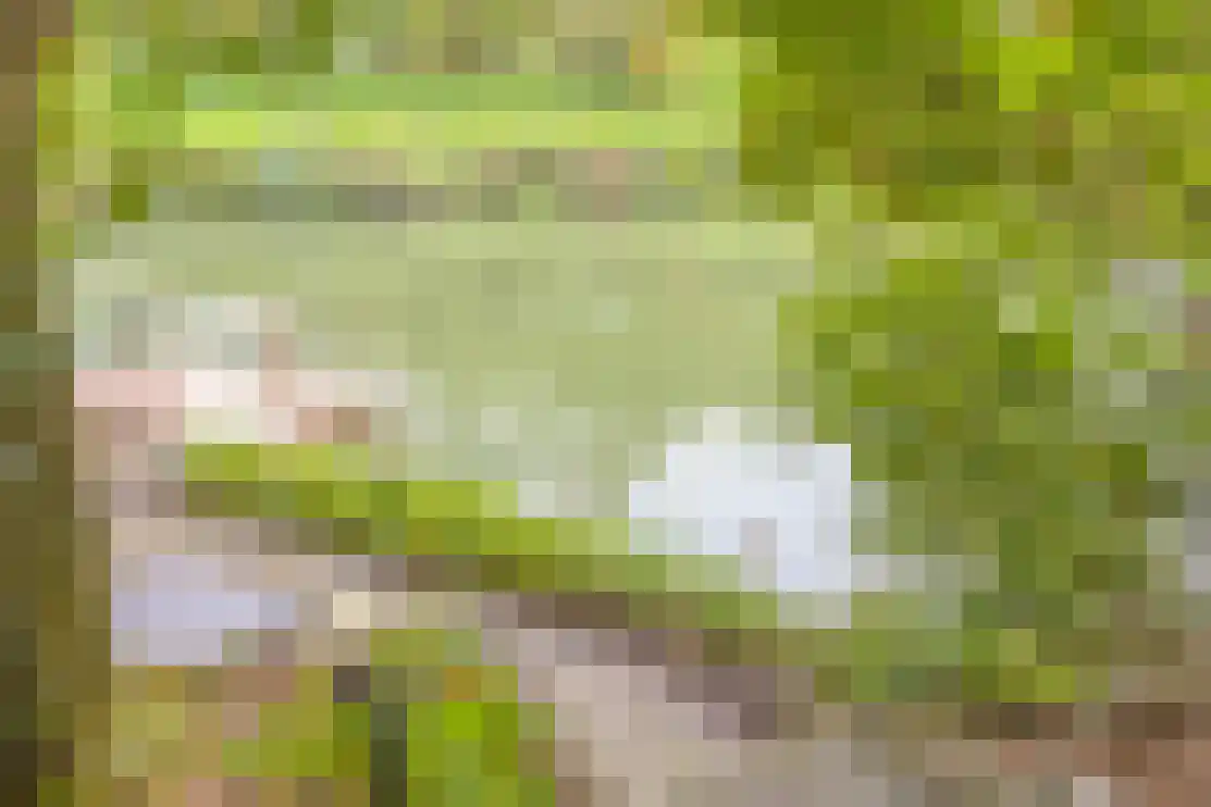 de Haaghe 13 Beuningen Gld thumbnail 48