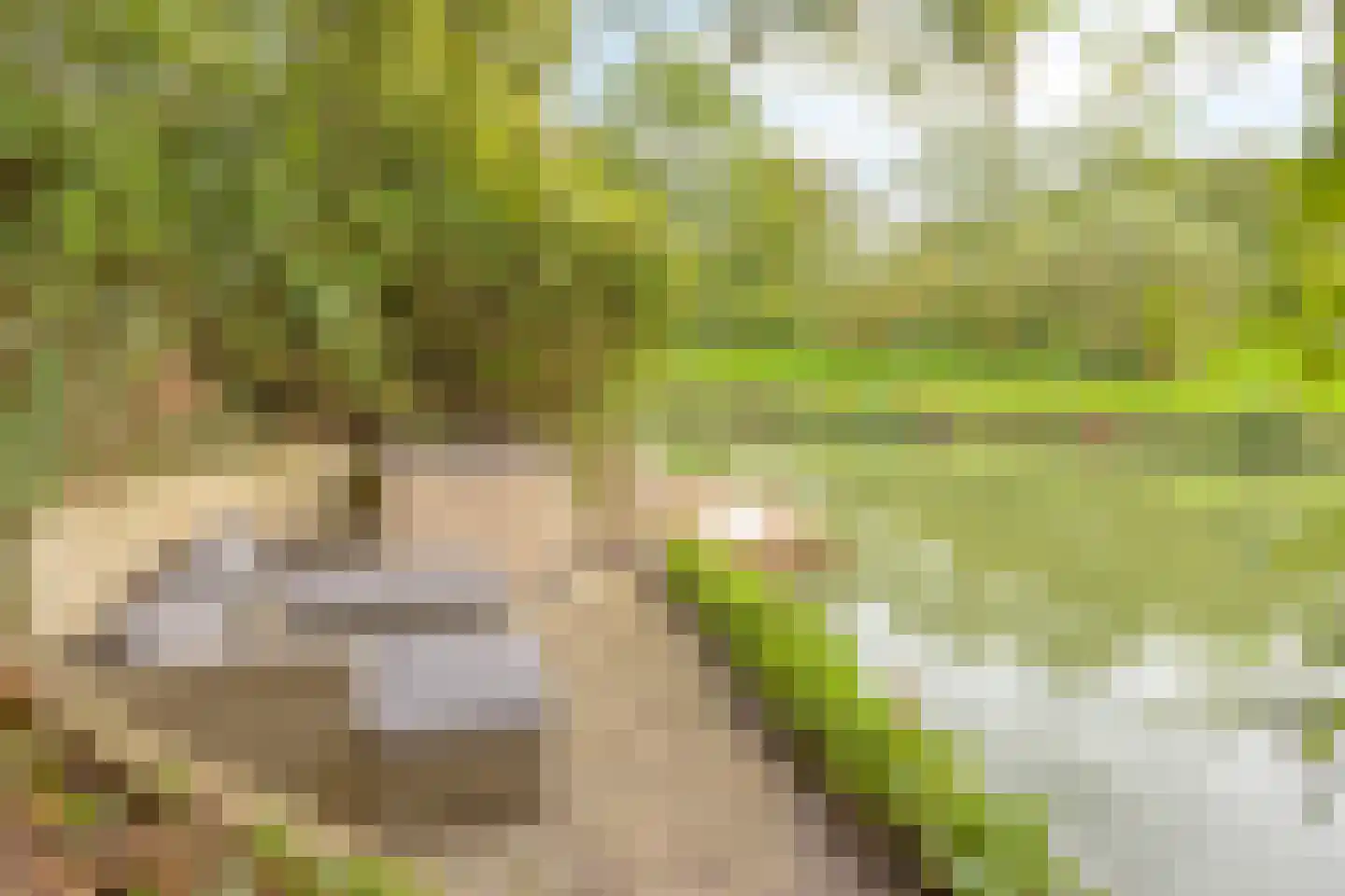 de Haaghe 13 Beuningen Gld thumbnail 49