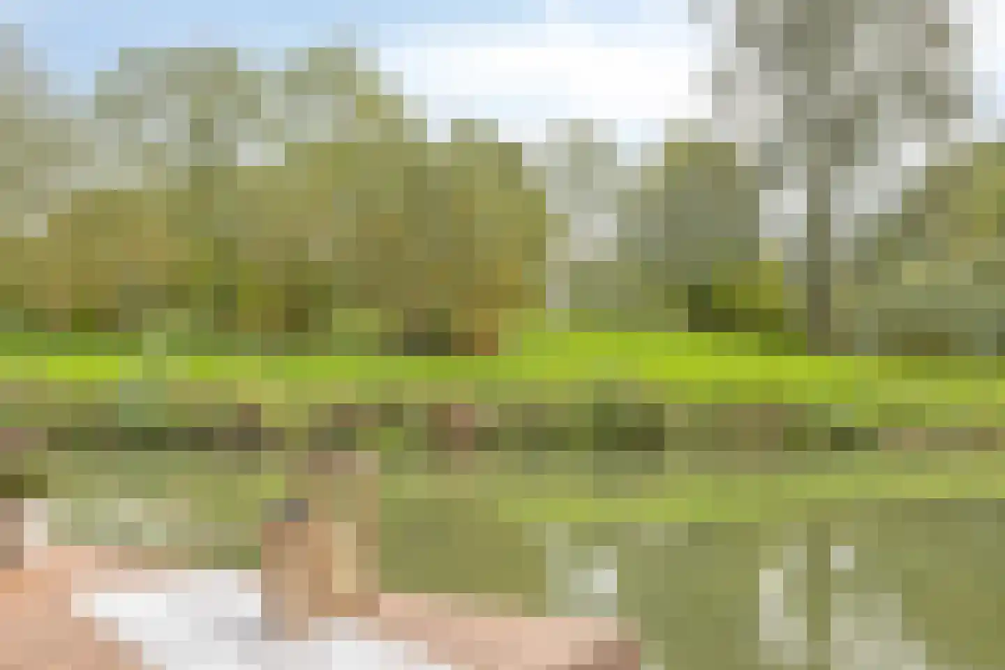 de Haaghe 13 Beuningen Gld thumbnail 50