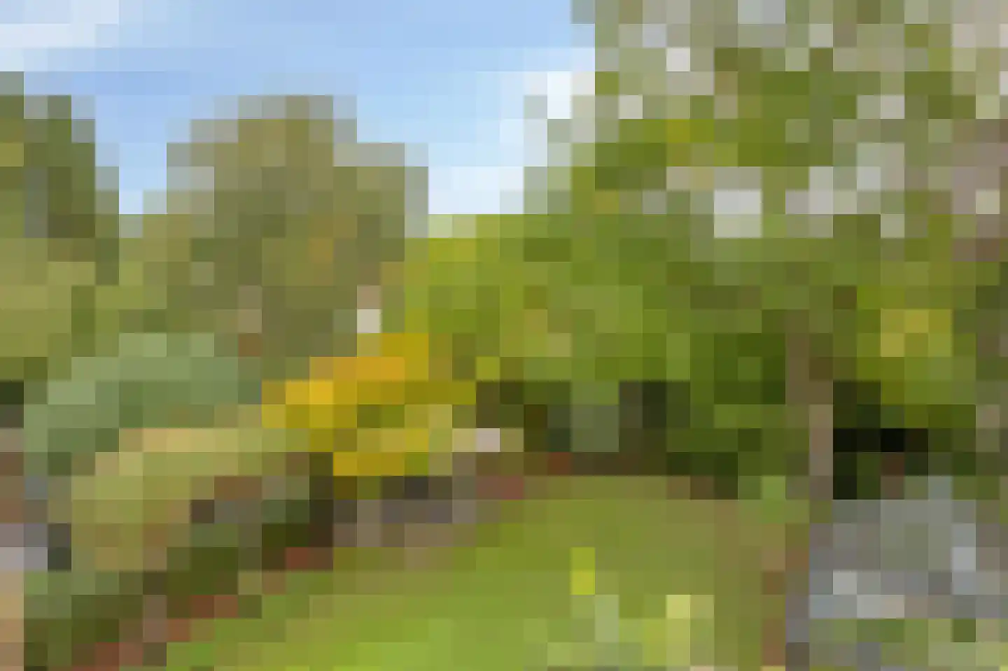 de Haaghe 13 Beuningen Gld thumbnail 52