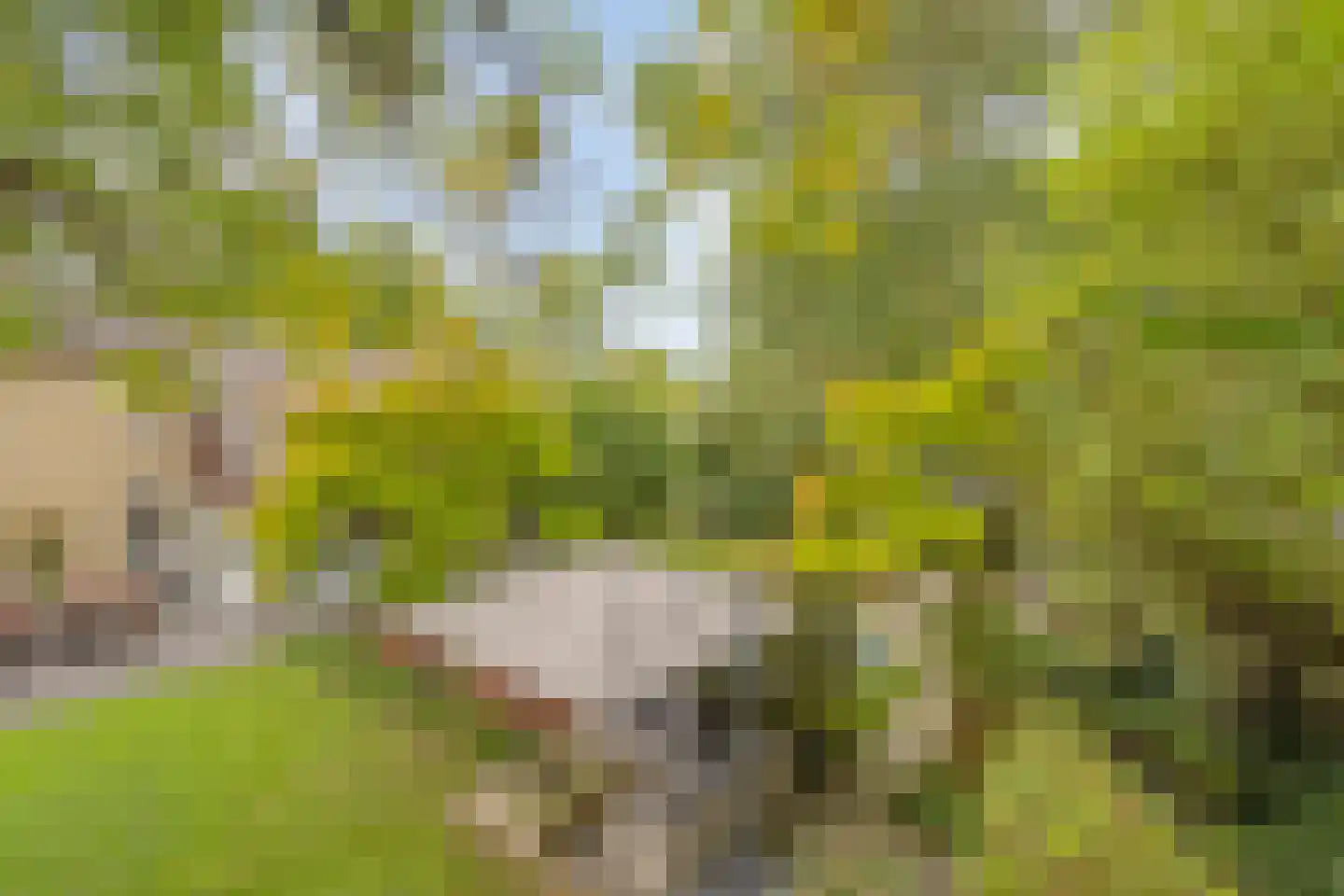 de Haaghe 13 Beuningen Gld thumbnail 53