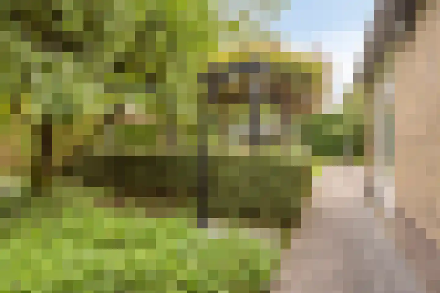 de Haaghe 13 Beuningen Gld thumbnail 54