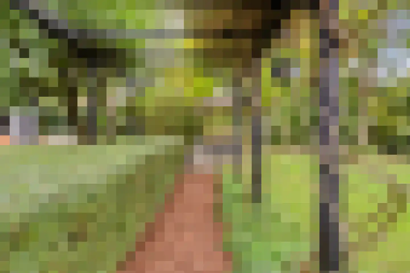 de Haaghe 13 Beuningen Gld thumbnail 55