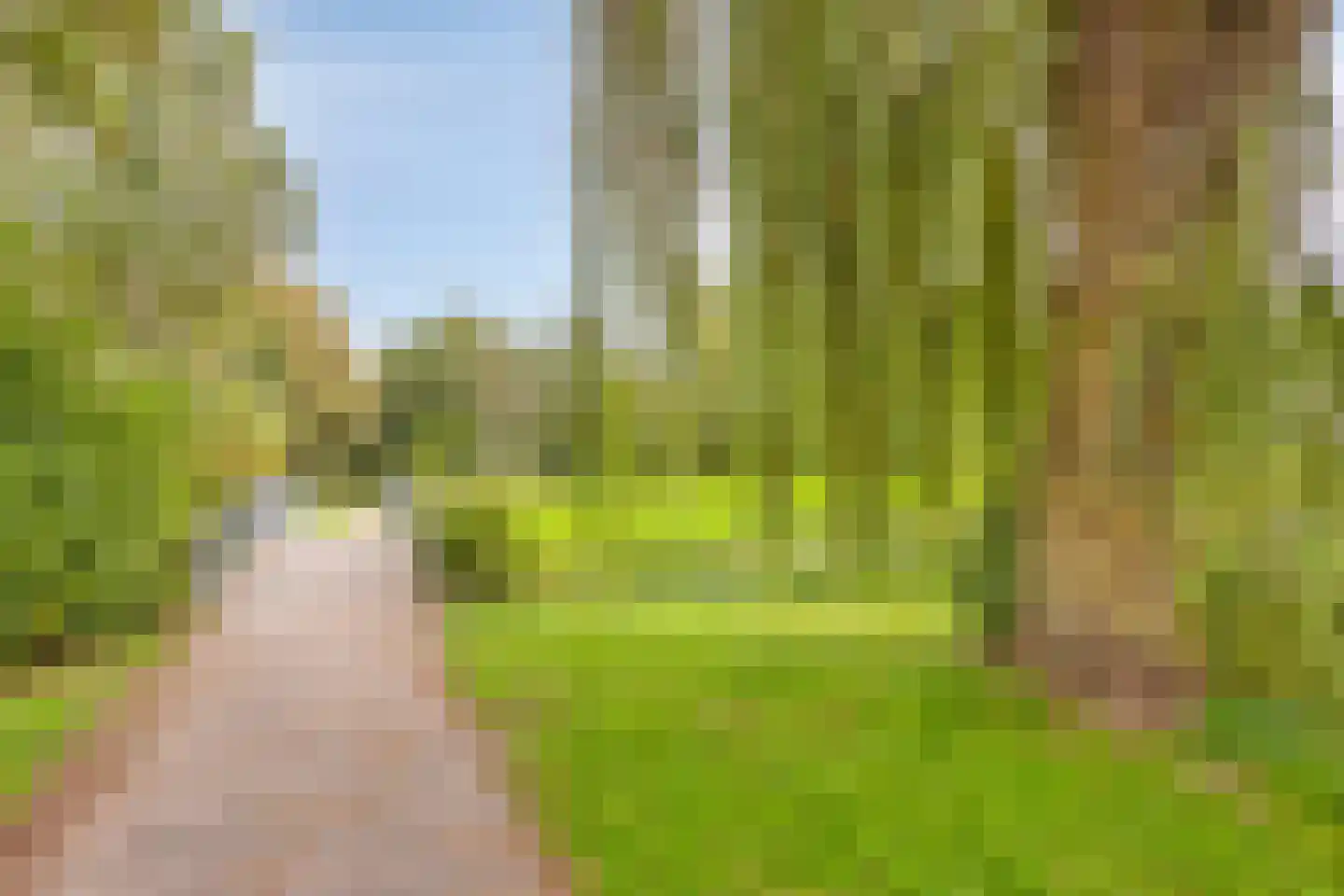de Haaghe 13 Beuningen Gld thumbnail 56
