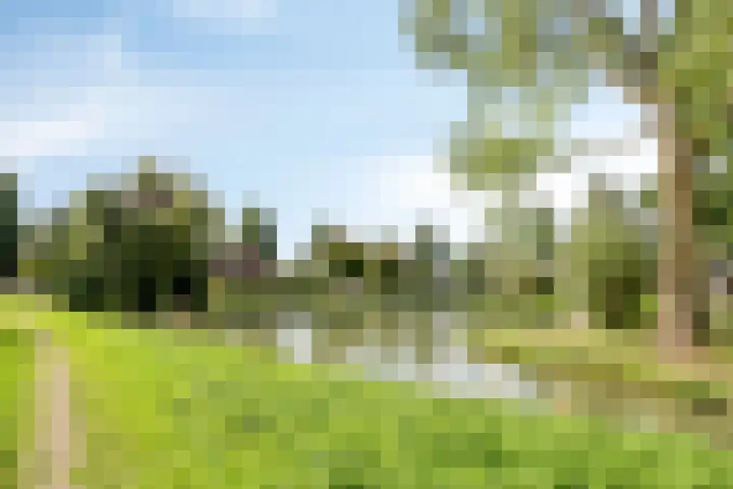 de Haaghe 13 Beuningen Gld thumbnail 58