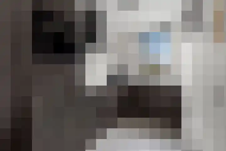 De Haak 10 Zegveld thumbnail 10