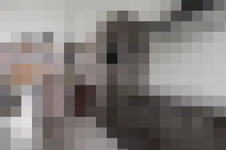 De Haak 10 Zegveld thumbnail 11