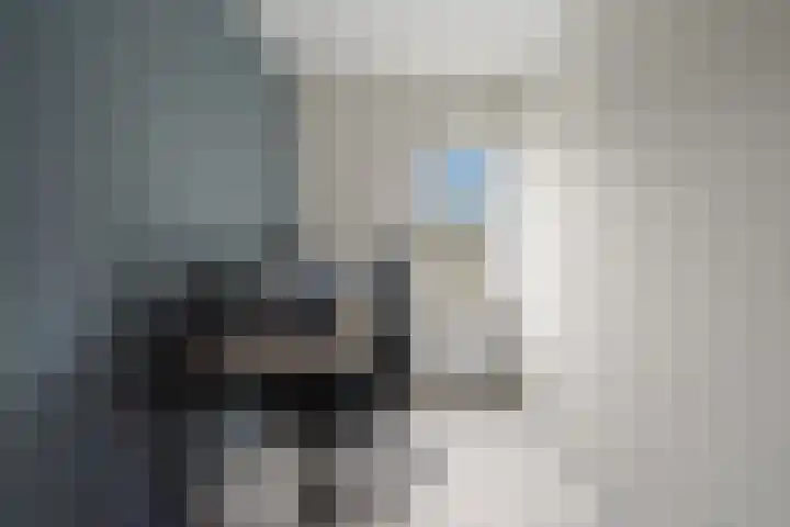 De Haak 10 Zegveld thumbnail 18