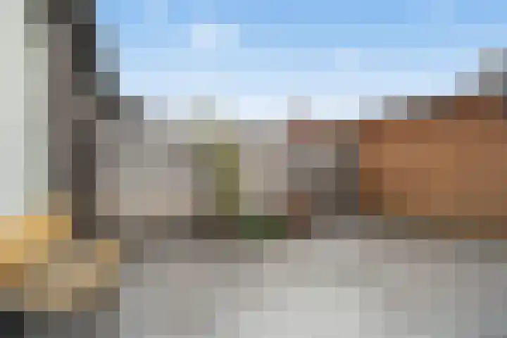 De Haak 10 Zegveld thumbnail 25
