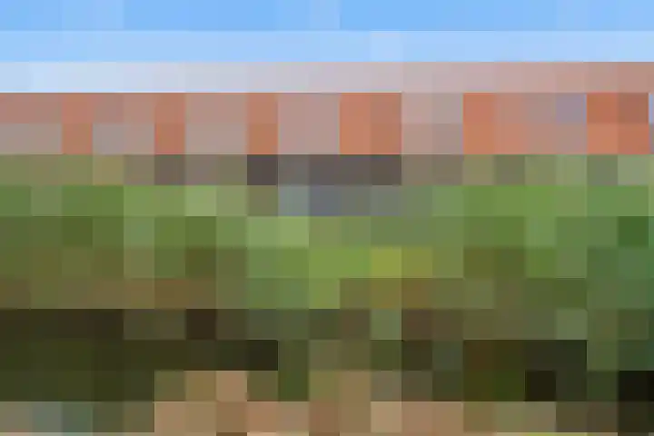 De Haak 10 Zegveld thumbnail 28