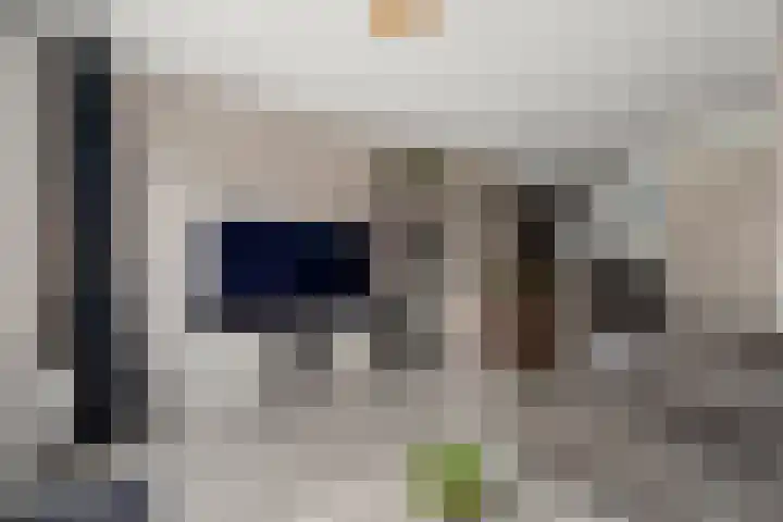 De Haak 10 Zegveld thumbnail 6